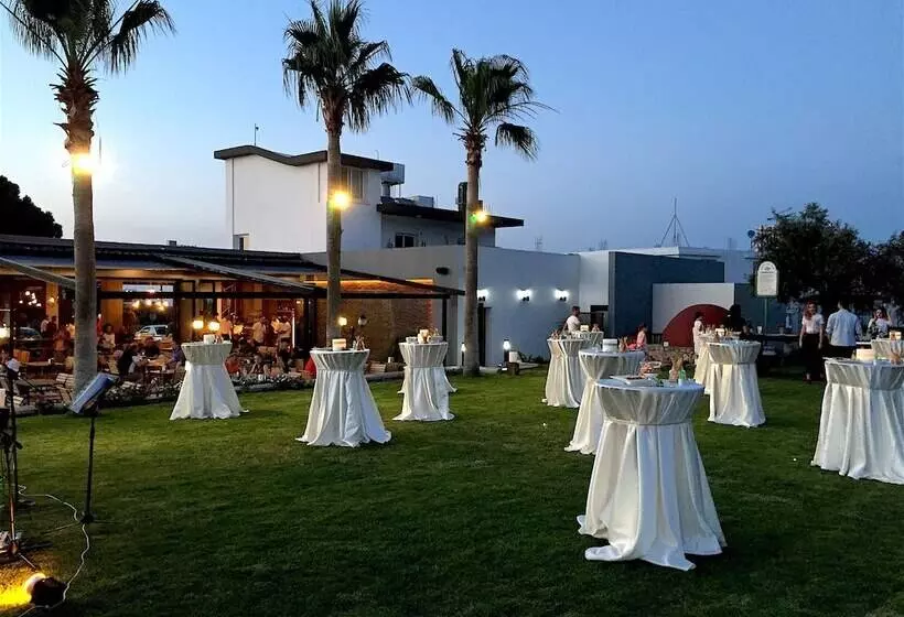 ホテル Palmonte Suites