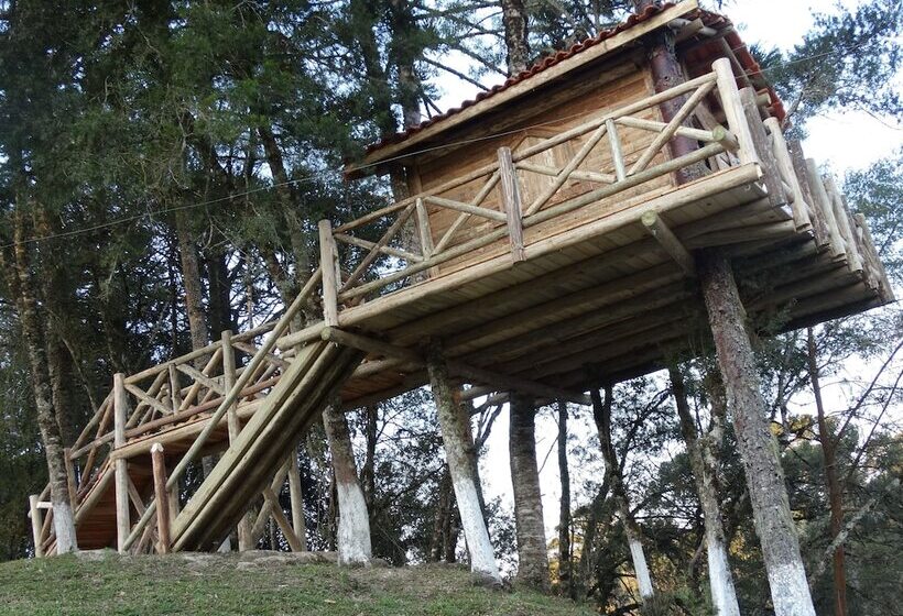 فندق Pousada Recanto Dos Pôneis