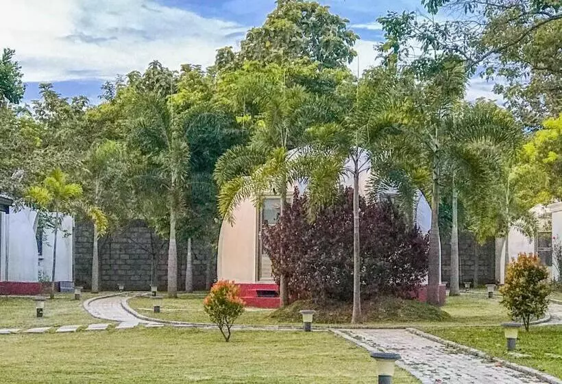هتل The Lion Kingdom Sigiriya