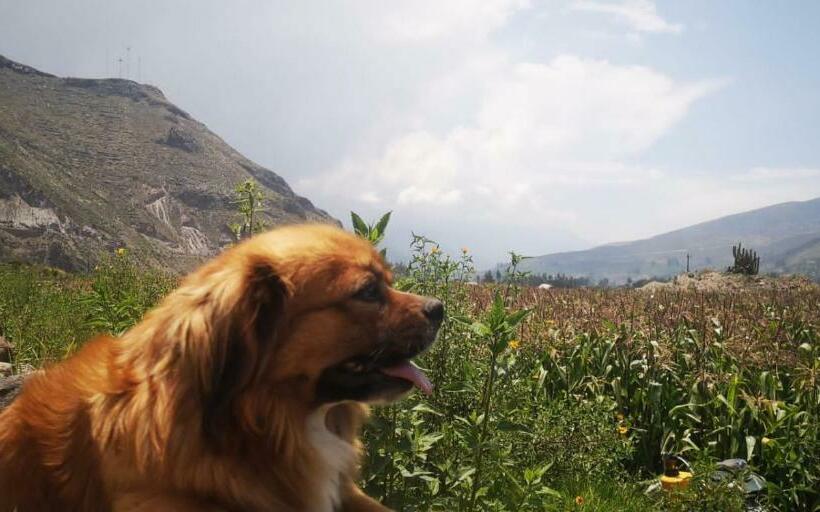 پانسیون Orkkowasi Backpackers