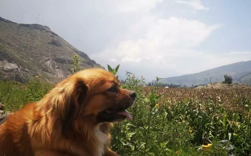 پانسیون Orkkowasi Backpackers