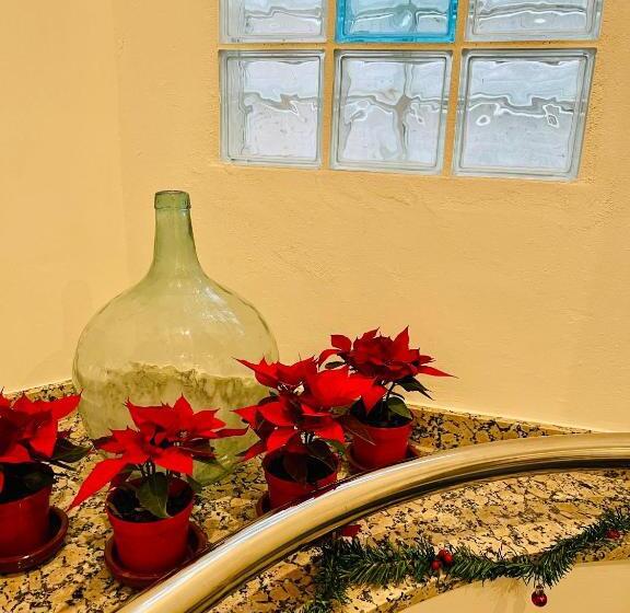 膳宿费 El Montoro