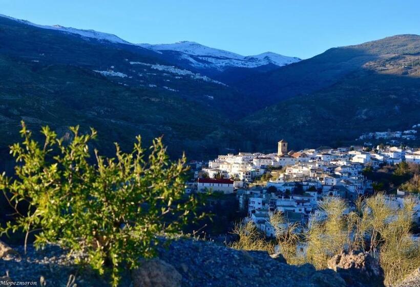 膳宿费 El Montoro