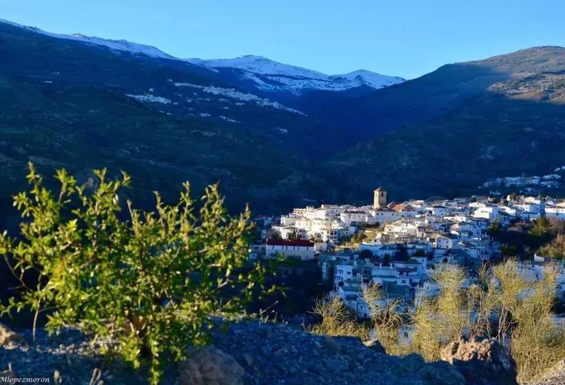 ペンション El Montoro