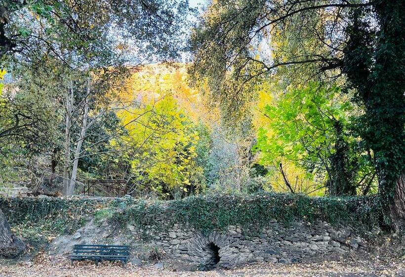 膳宿费 El Montoro