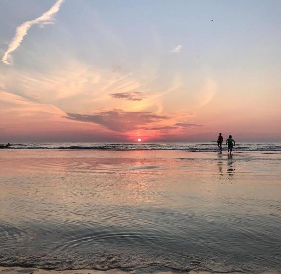 פנסיון Hippocampus Aan Zee