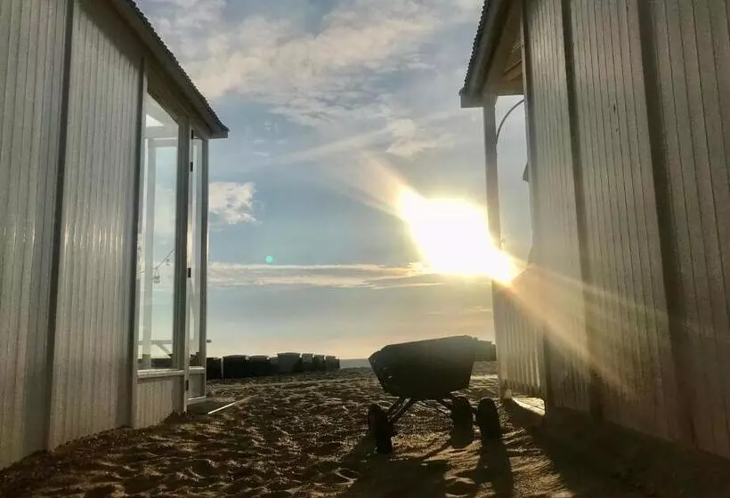 Majatalo Hippocampus Aan Zee