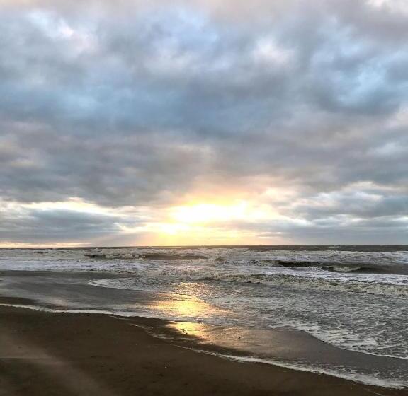 פנסיון Hippocampus Aan Zee