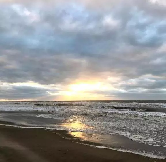 Majatalo Hippocampus Aan Zee