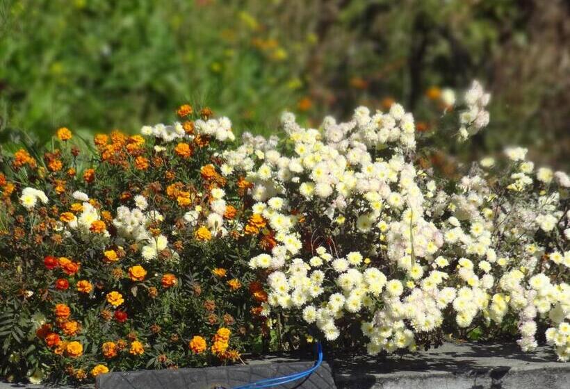 Pensão Kasar Wonder Hill Homestay