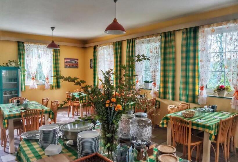 بنسيون Penzion Pastviny