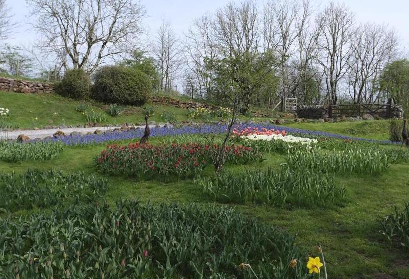 פנסיון Rowrah Hall