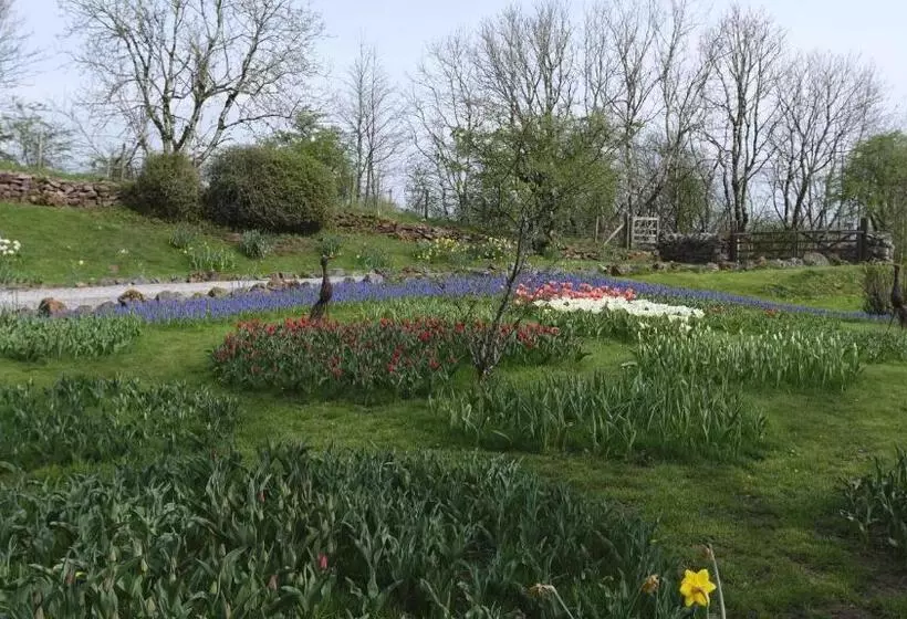 ペンション Rowrah Hall