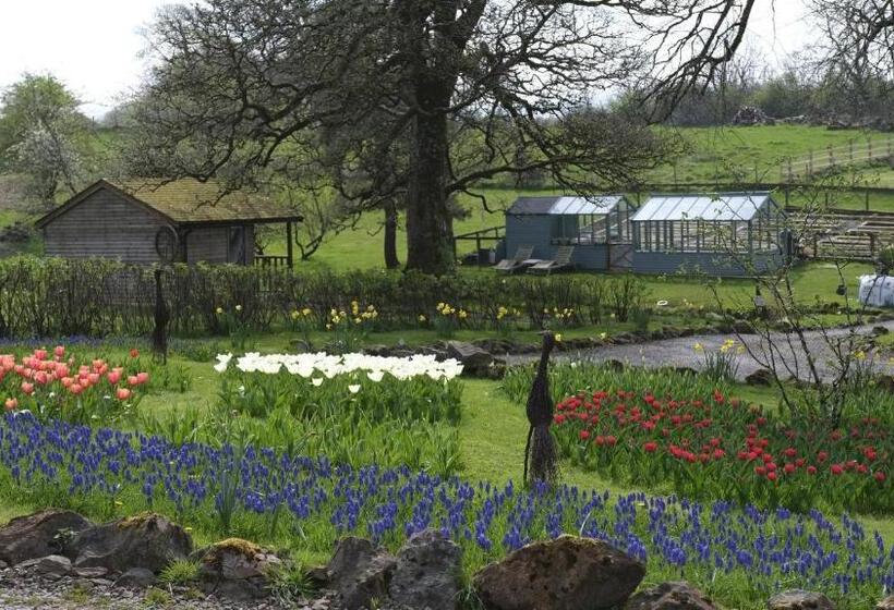 פנסיון Rowrah Hall