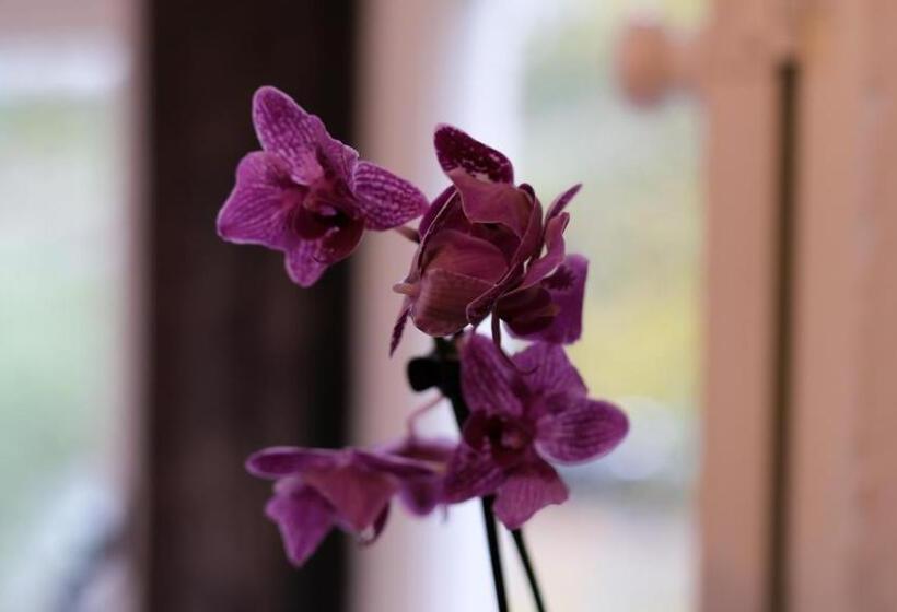 פנסיון Rowrah Hall