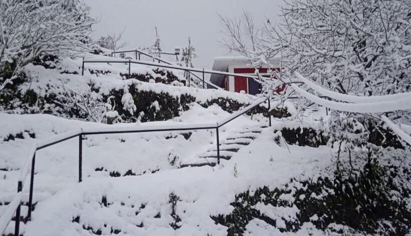 酒店 Orchard Hill Retreat