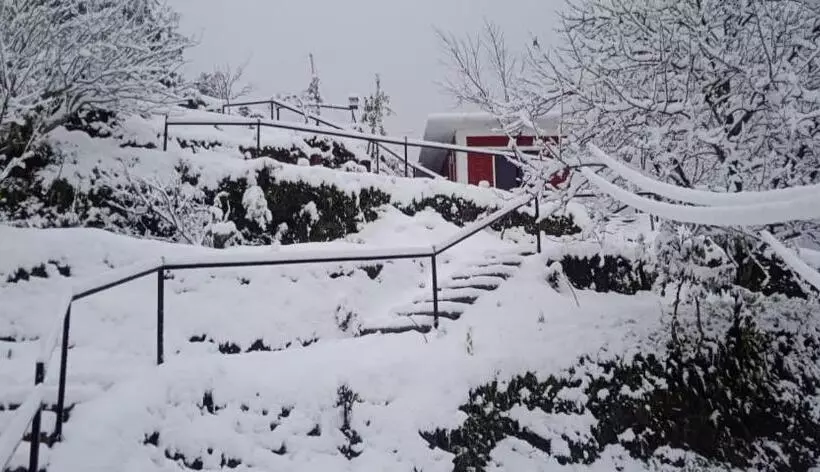 هتل Orchard Hill Retreat