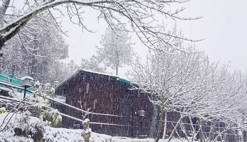 هتل Orchard Hill Retreat