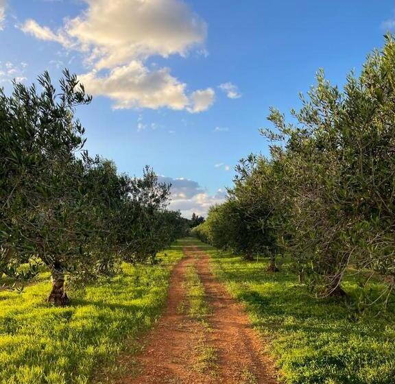 בית מלון כפרי Baglio Custera