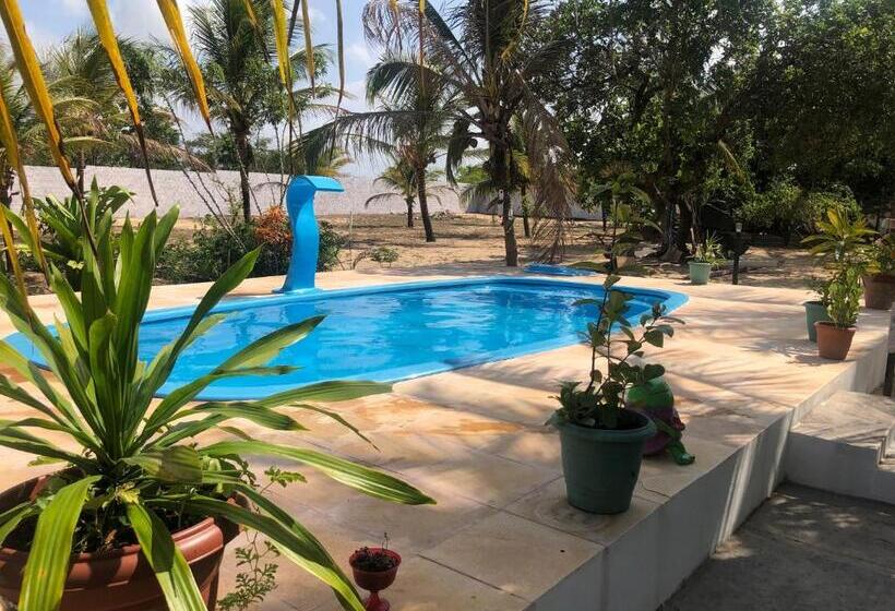 Pension (Hôtel basse catégorie) Pousada Chácara Do Coqueiro