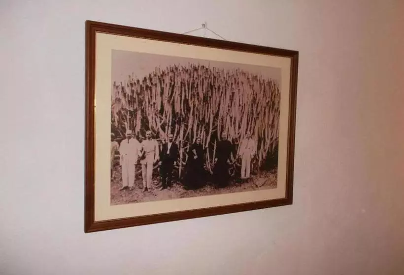 ペンション Room In Guest Room  Casa El Cardon B1 Buenavista Del Norte