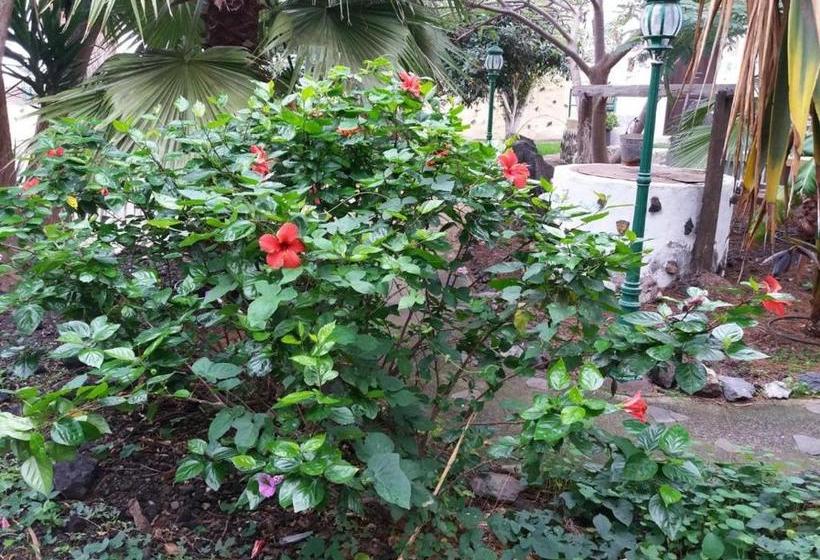 ペンション Room In Guest Room Casa El Cardon B1 Buenavista Del Norte