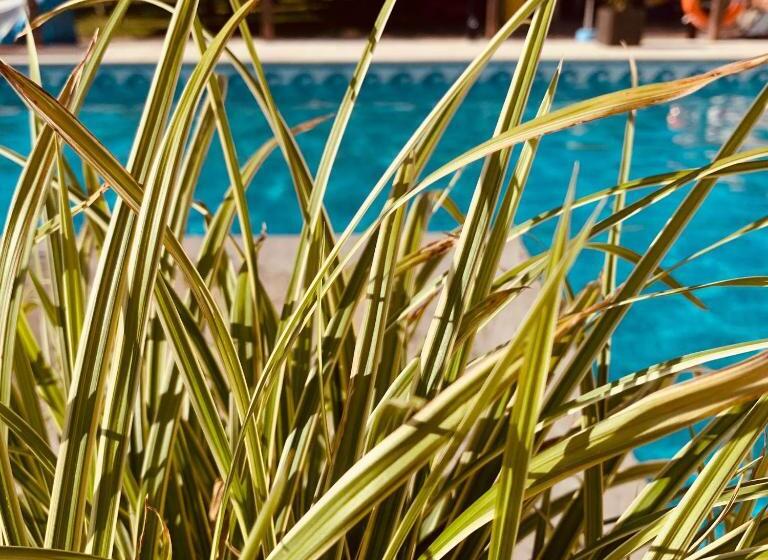 Pension Regent Green Leaf