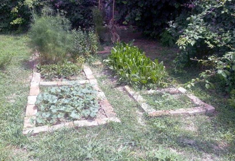 בית מלון כפרי Alloggio Agrituristico Dodici Apostoli