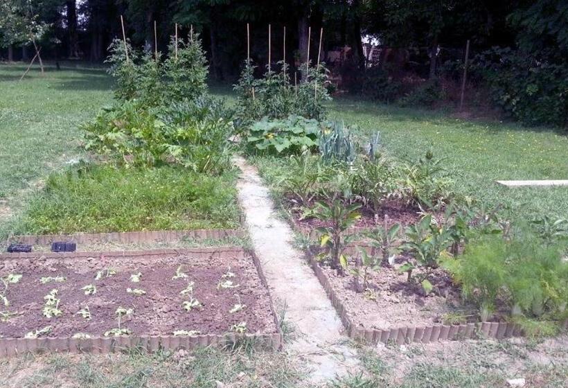 בית מלון כפרי Alloggio Agrituristico Dodici Apostoli