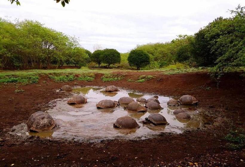 Szálloda Torre Mar Galapagos Boutique Suites
