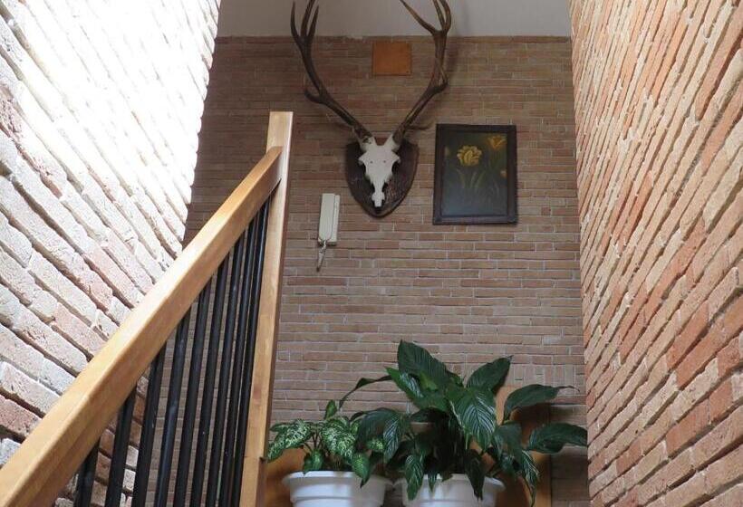 פנסיון Affittacamere Prato Rosso