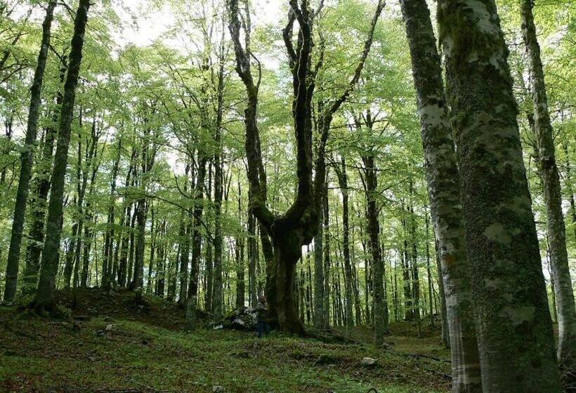 פנסיון Affittacamere Prato Rosso