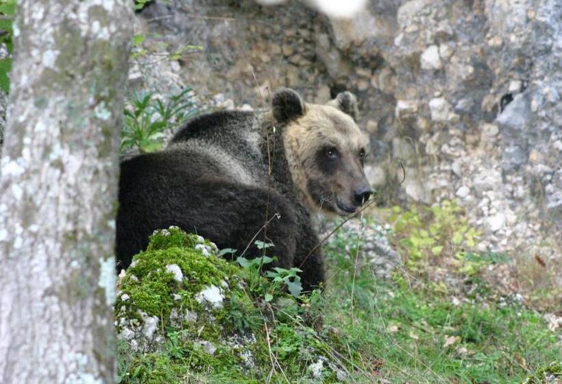 פנסיון Affittacamere Prato Rosso