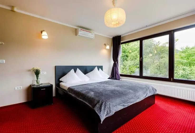 Pensiunea Decebal Resort   Cazanele Dunarii