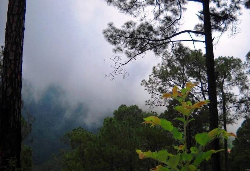 فندق Country Inn Sattal