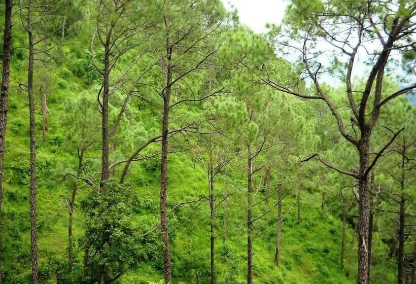 فندق Country Inn Sattal