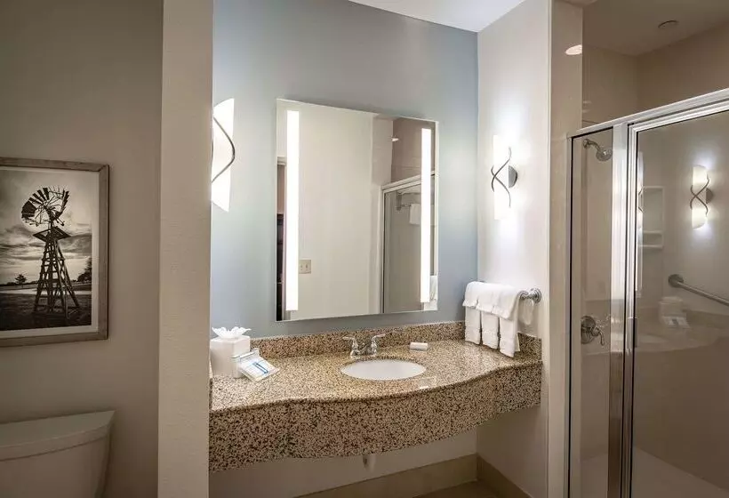 호텔 Hilton Garden Inn Granbury