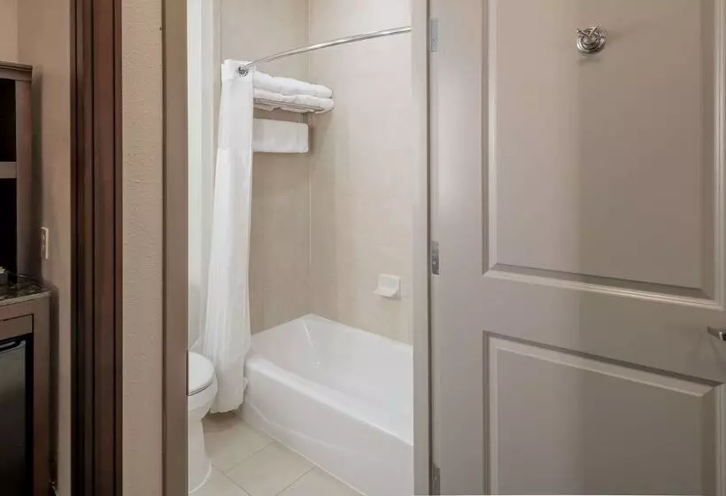 호텔 Hilton Garden Inn Granbury