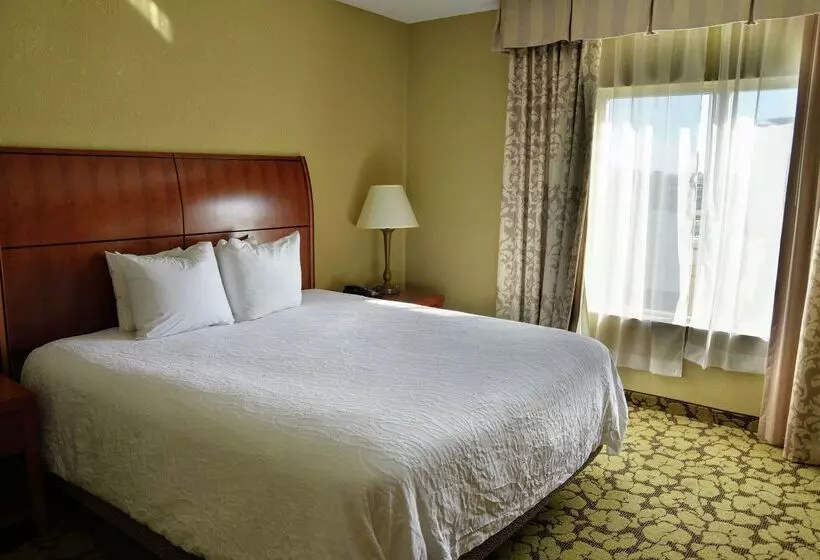 هتل Hilton Garden Inn Hattiesburg
