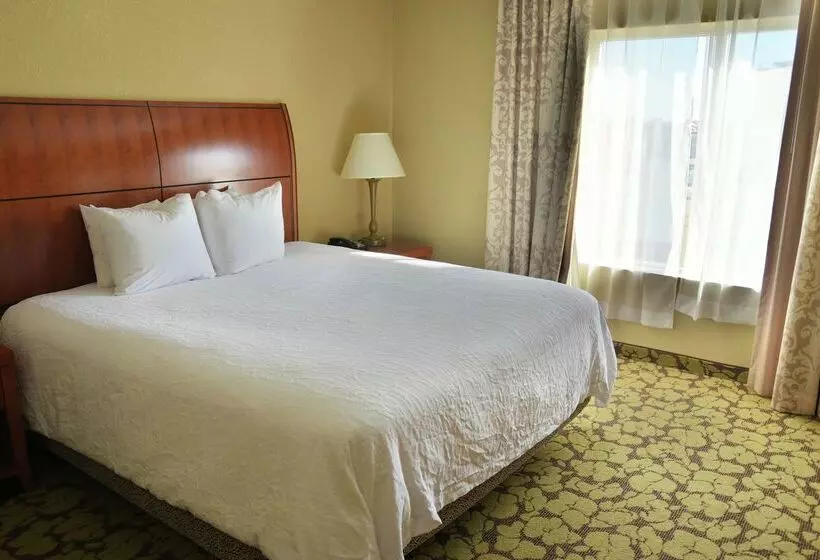 هتل Hilton Garden Inn Hattiesburg