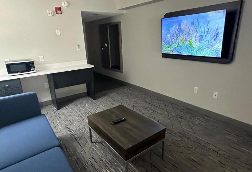 ホテル Holiday Inn Express Birmingham Irondale East, An Ihg