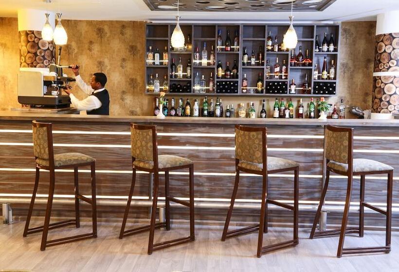 Jupiter International Hotel   Cazanchis