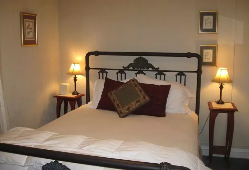 בית מלון כפרי The Forest Queen