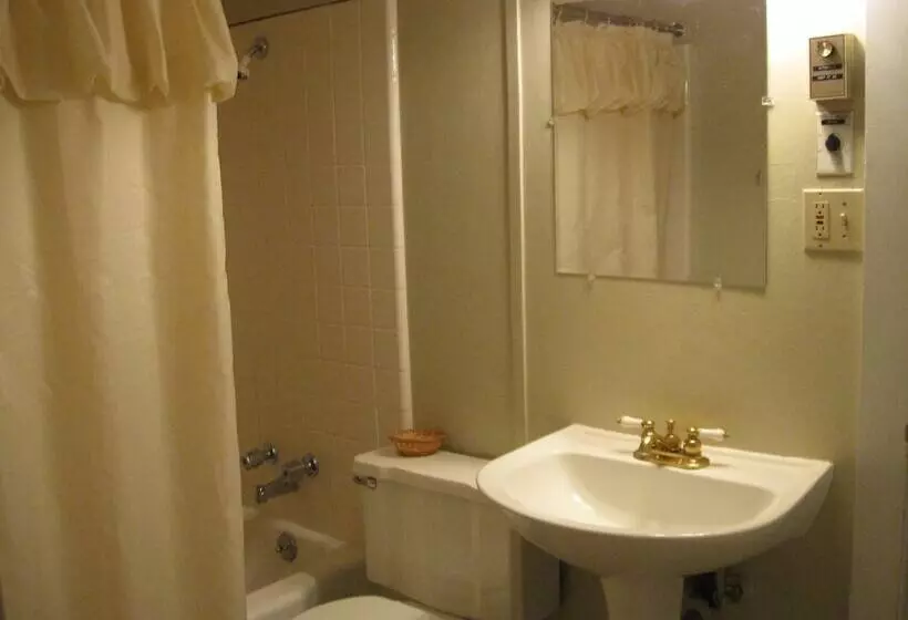 בית מלון כפרי The Forest Queen