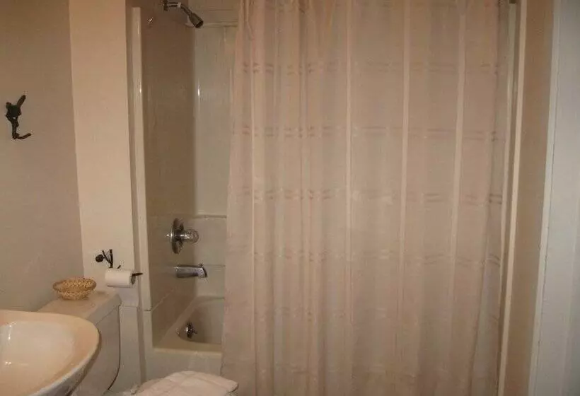 בית מלון כפרי The Forest Queen