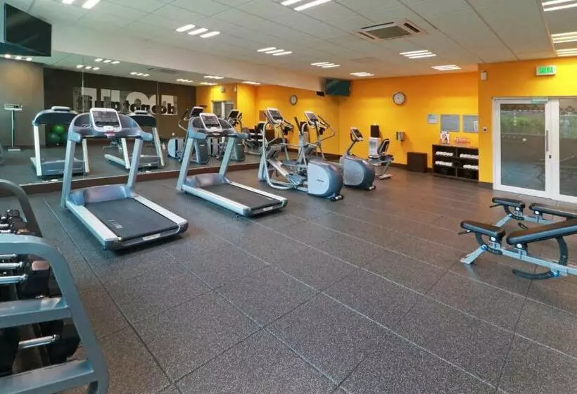 ホテル Wyndham Garden Guadalajara Acueducto