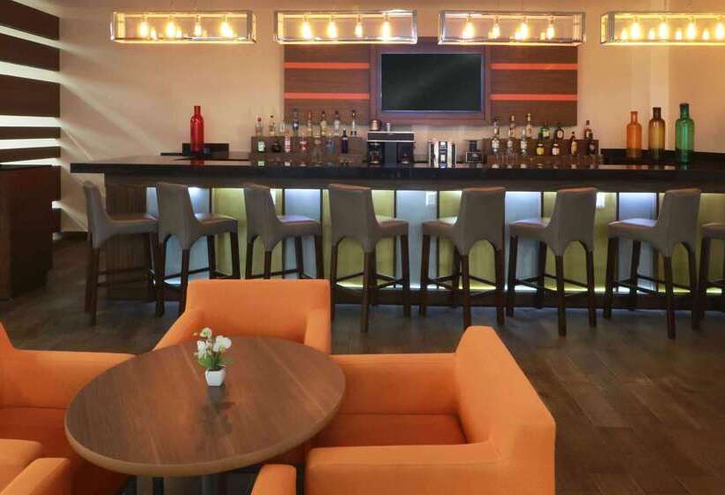 ホテル Wyndham Garden Guadalajara Acueducto