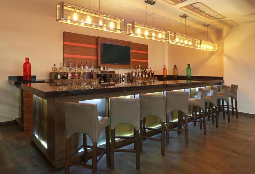 ホテル Wyndham Garden Guadalajara Acueducto