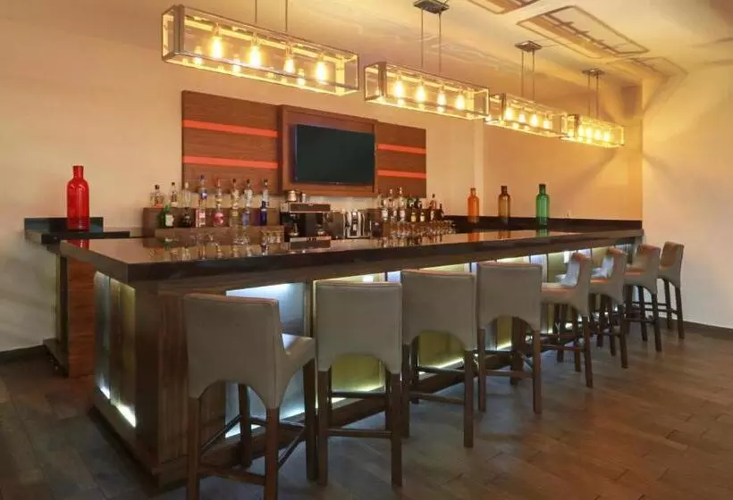 ホテル Wyndham Garden Guadalajara Acueducto