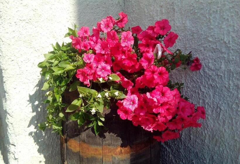 Bed and Breakfast Baglio Bellavista